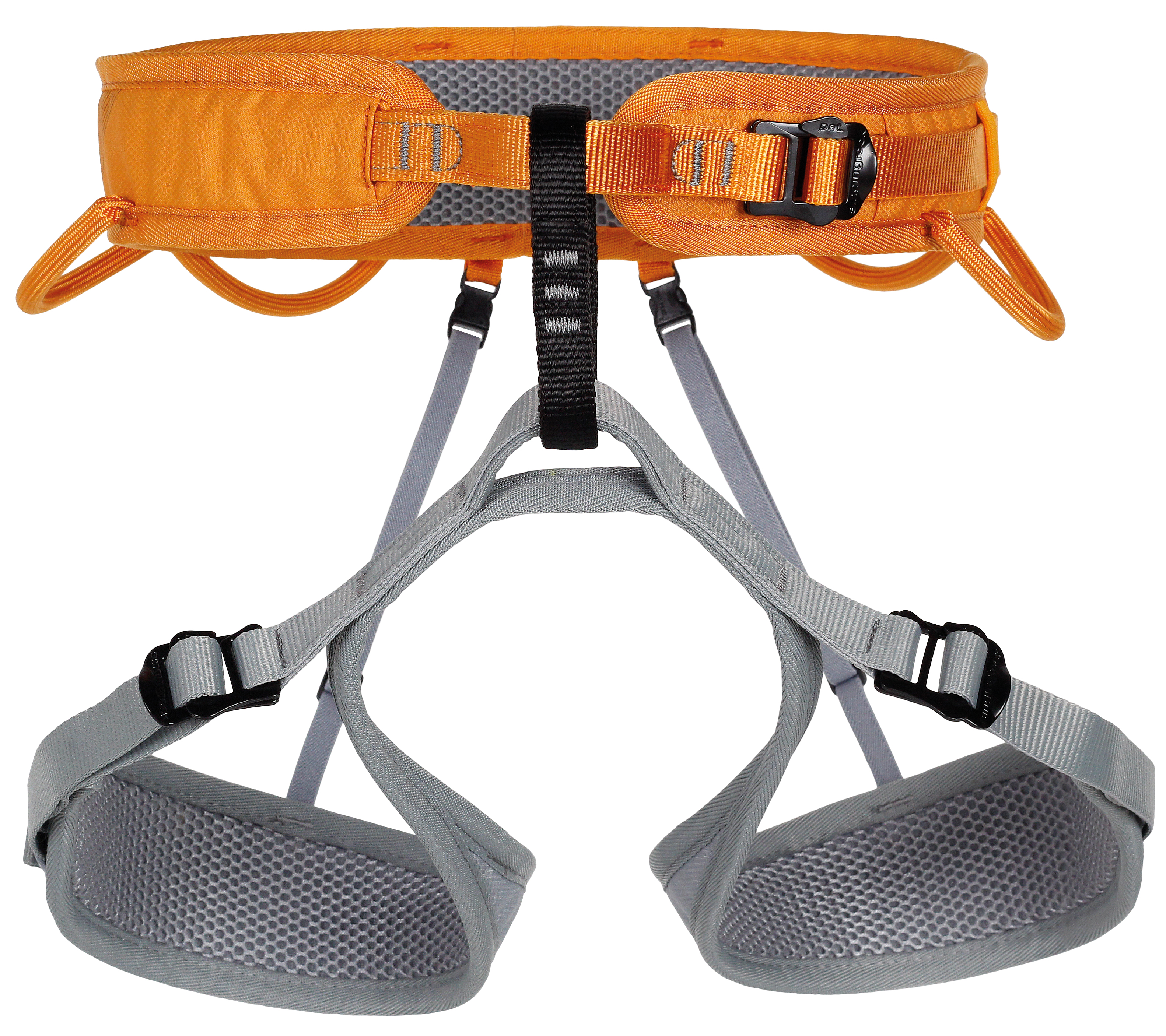 Harness RAY